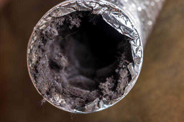 Best Emergency Air Duct Cleaning  in Waipio Acres, HI