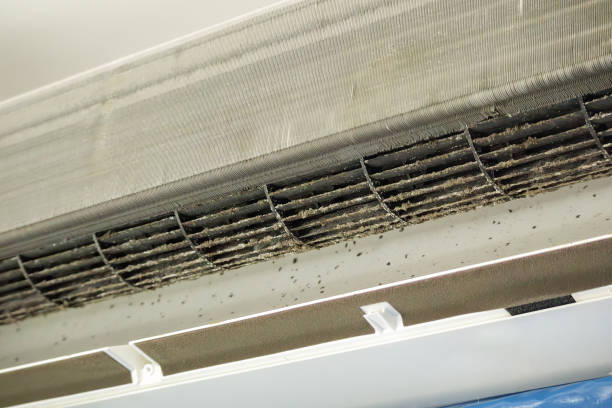 Best Commercial HVAC Duct Cleaning  in Waipio Acres, HI