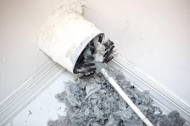 Best Local Air Duct Cleaning Services  in Waipio Acres, HI